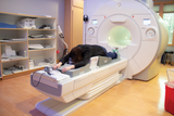 A patient laying in an MRI Machine with the Domico Med-Device Breast Positioning System, a set of foam positioning aids, attached to it.